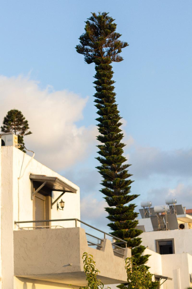 Villa Marina Hersonissos  Exteriér fotografie